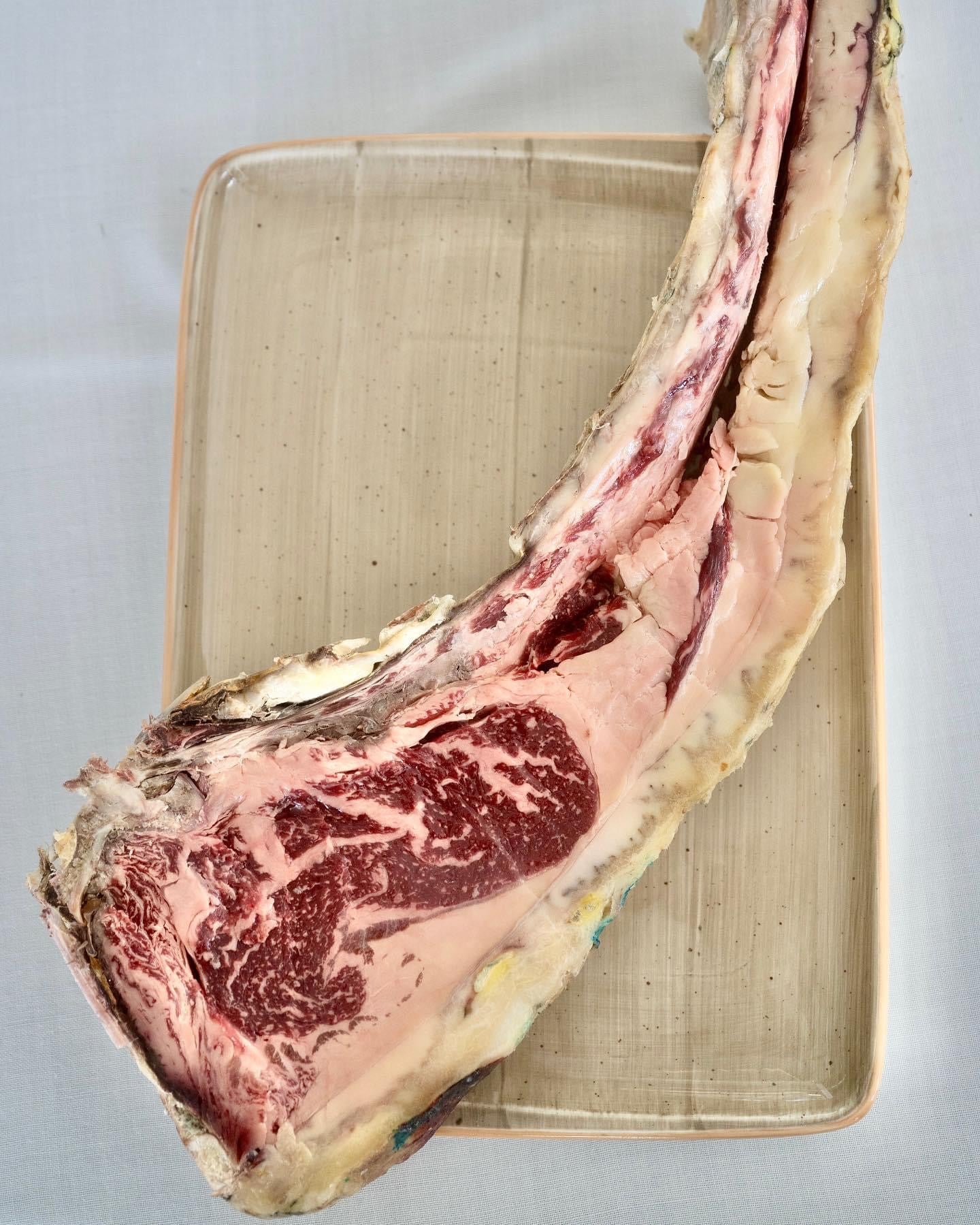 Buey selección Finca La Perdida